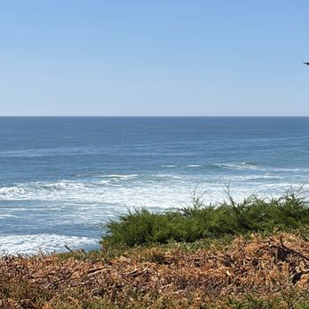 Moss Beach Distillery - Seafood Near Me - Moss Beach, California