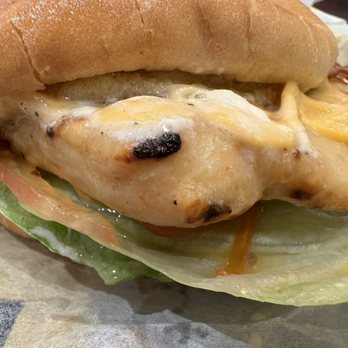 Carl's Jr - Charbroiled Chicken Club Sandwich - Burgers Near Me - Doral, Florida