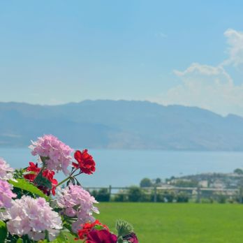 Quails' Gate Winery - Wineries Near Me - Kelowna, British Columbia Quails' Gate Winery - Wineries Near Me - Kelowna, British Columbia