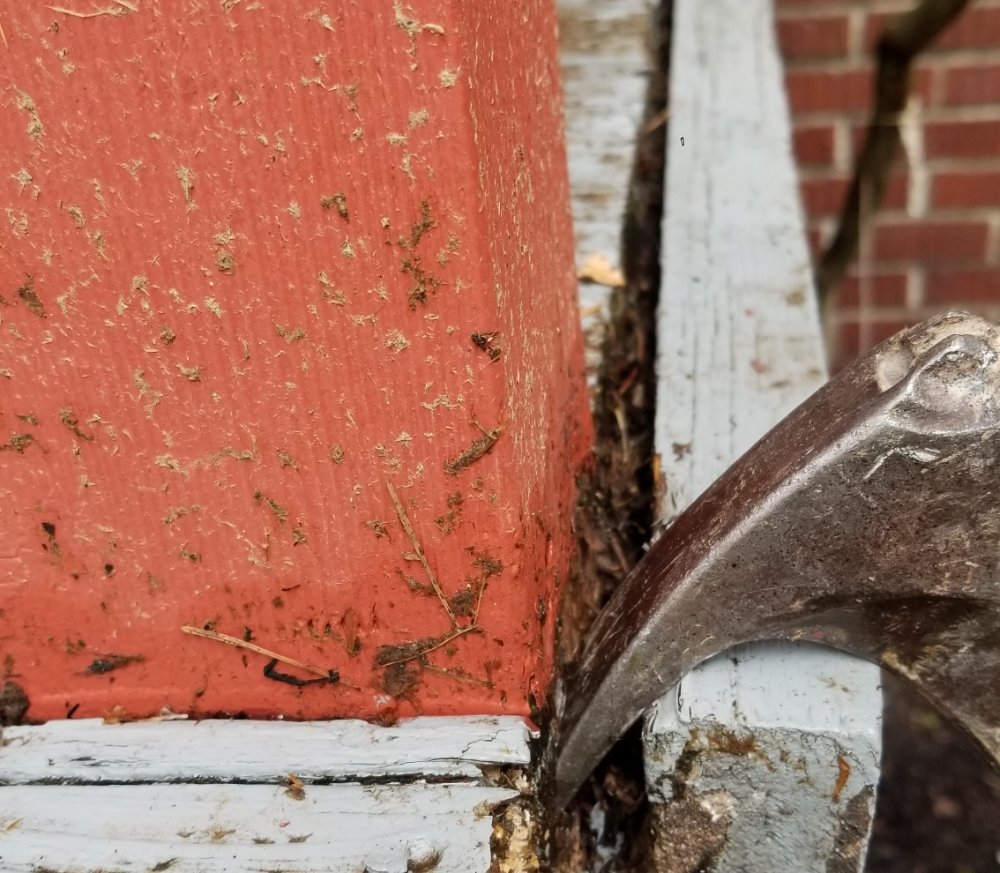 2 Bros Landscaping - tree service in Seattle, WA