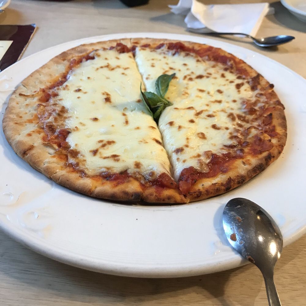 The Elephant House - Scottish Near Me - Edinburgh, EDH The Elephant House - Scottish Near Me - Edinburgh, EDH