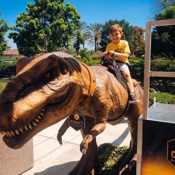 Dino Encounters - Party & Event Planning Near Me Dino Encounters - Party & Event Planning Near Me