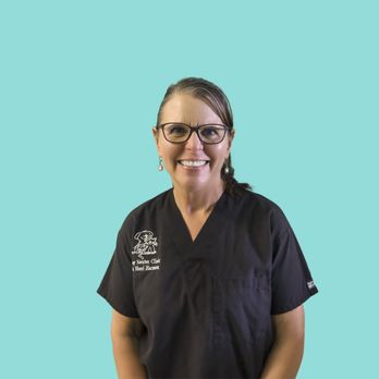 Spay Neuter Clinic - Dr. Harmon, DVM - Veterinarians Near Me - Glendale, Arizona Spay Neuter Clinic - Dr. Harmon, DVM - Veterinarians Near Me - Glendale, Arizona