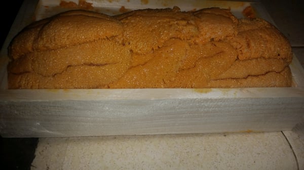 Los Angeles Fish Co by null