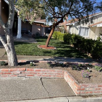 La Sierra Quality Landscape - Tree removal, tree trimming, updated sprinklers, fresh sod, two large planters - Landscaping Near Me - San Martin, California La Sierra Quality Landscape - Tree removal, tree trimming, updated sprinklers, fresh sod, two large planters - Landscaping Near Me - San Martin, California