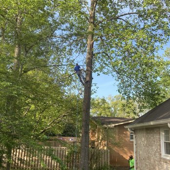 Jkee Tree Services - Tree Services Near Me Jkee Tree Services - Tree Services Near Me