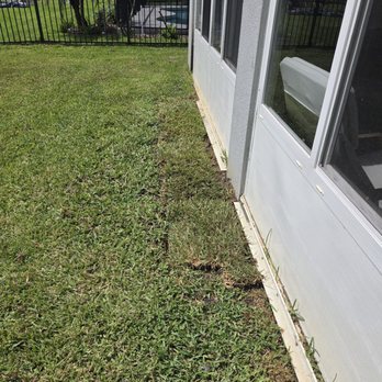 Total Maintenance Landscaping - Replaced grass - Landscaping Near Me - Cocoa, Florida