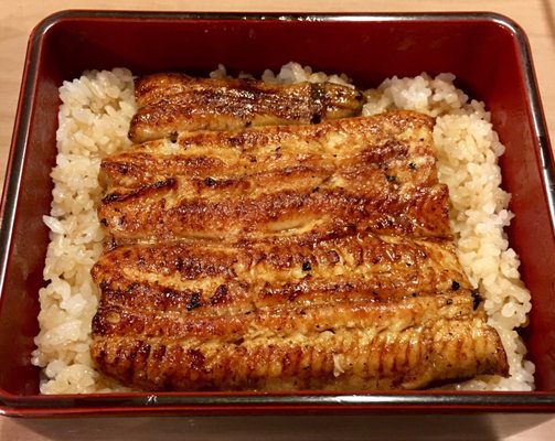 Unagi Hashimoto by null
