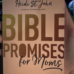 Little Free Library - Bible