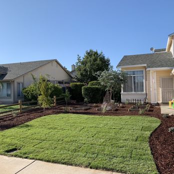 Samber Landscape And Tree Care - After...shrubs, fence, fruit trees, veggie planters, sod, bark, new irrigation. - Landscaping Near Me Samber Landscape And Tree Care - After...shrubs, fence, fruit trees, veggie planters, sod, bark, new irrigation. - Landscaping Near Me