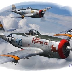 Tennessee Museum of Aviation - Among the aircraft within the museums' hangar, the two Republic P-47 Thunderbolts will almost certainly leave a sense of admiration