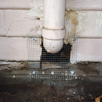 1. No Trespassing Rodent Proofing