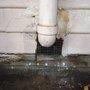 Photo of No Trespassing Rodent Proofing