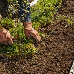 MEM Landscaping