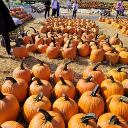 Klingel's Produce