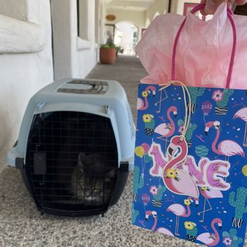 Newport Pet Clinic - goodie bag - Veterinarians Near Me - Tustin, California