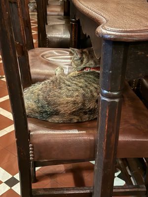 À la Bécasse by null