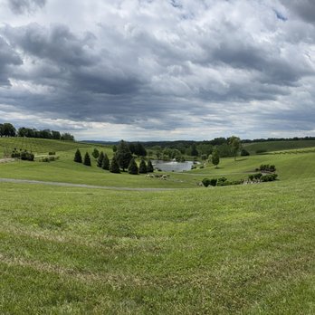 Stone Tower Winery - Vineyard views - Wineries Near Me - Leesburg, Virginia Stone Tower Winery - Vineyard views - Wineries Near Me - Leesburg, Virginia