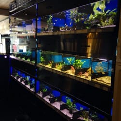 Aquarium Holgen