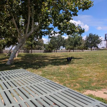 Jacinto Creek Dog Park - Dog Parks Near Me - Elk Grove, California Jacinto Creek Dog Park - Dog Parks Near Me - Elk Grove, California