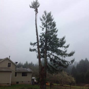 James Cummings Tree Service - Tree Services Near Me James Cummings Tree Service - Tree Services Near Me