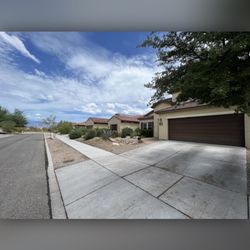 Extraordinary Tree Service - After the tree was removed