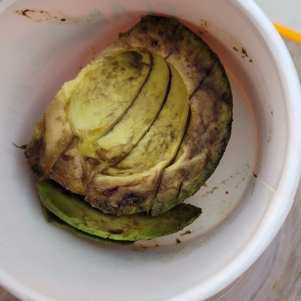 Flame Broiler - Avocado not great looking, they probably wouldn't eat it themselves - Korean Near Me - Long Beach, California