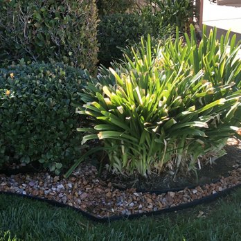 ROCK Turf and Landscape - Rock Landscape - Irrigation Near Me ROCK Turf and Landscape - Rock Landscape - Irrigation Near Me