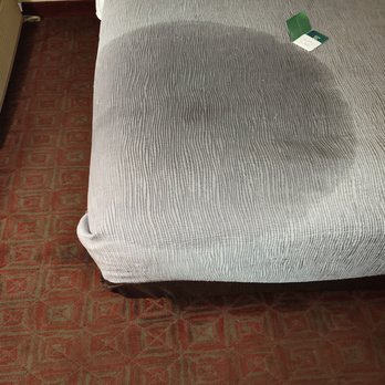 Quality Inn - Another view of ceiling leaking on bed and floor - Hotels Near Me - Blytheville, Arkansas Quality Inn - Another view of ceiling leaking on bed and floor - Hotels Near Me - Blytheville, Arkansas