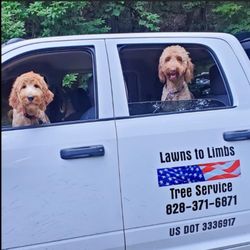 Lawns to Limbs Tree and Crane Services  - Free estimates 828 371 6871