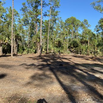 Discovery Excavation - Tree Services Near Me Discovery Excavation - Tree Services Near Me