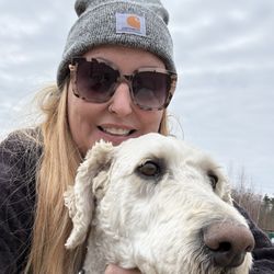 Timmy’s Dog Walking
