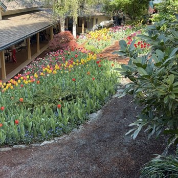 Crystal Hermitage Gardens - Community Gardens Near Me - Nevada City, California