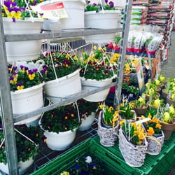 REWE - Ostern kann kommen