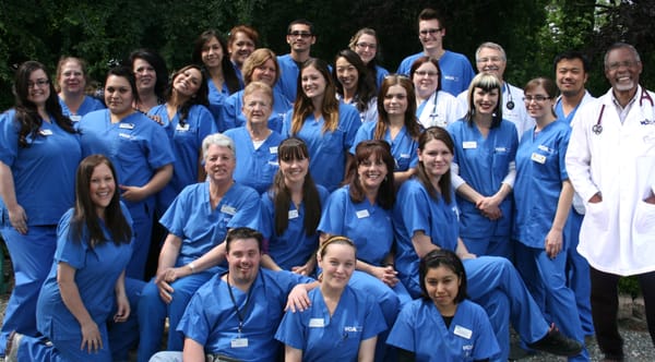 vca almaden valley animal hospital yelp