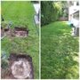 Photo of Sunshine Septic