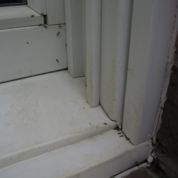 Metro Guard Termite & Pest Control - Metro Guard Termite and Pest Control has solutions for all kinds of ants. We use odorless pest products that work fast. - Pest Control Near Me - Dallas, Texas Metro Guard Termite & Pest Control - Metro Guard Termite and Pest Control has solutions for all kinds of ants. We use odorless pest products that work fast. - Pest Control Near Me - Dallas, Texas
