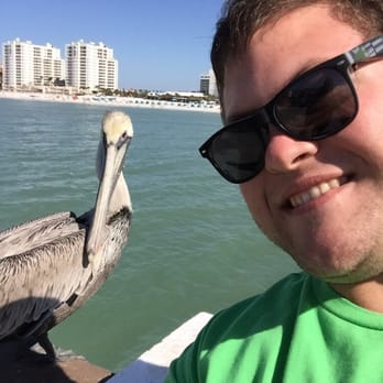 Clearwater Beach - Pelican selfie! - Beaches Near Me