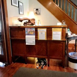 Three Circles Therapeutics - TCT's loving puppy, Kadin under the reception desk