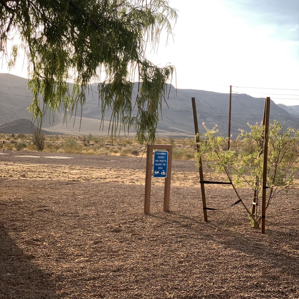 Haviland Rest Area - WARNING!!!! Poisonous snakes and insects - Rest Stops Near Me - Golden Valley, Arizona Haviland Rest Area - WARNING!!!! Poisonous snakes and insects - Rest Stops Near Me - Golden Valley, Arizona