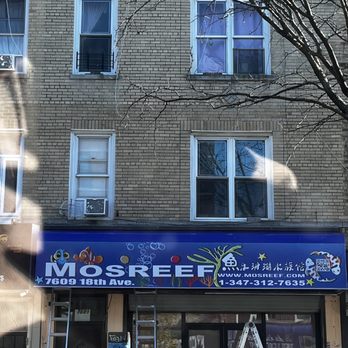 Mosreef - Outside - Aquariums Near Me - Brooklyn, New York Mosreef - Outside - Aquariums Near Me - Brooklyn, New York