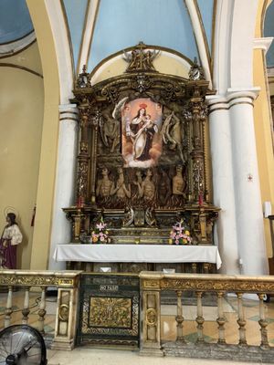 Catedral Nuestra Señora de Guadalupe by null