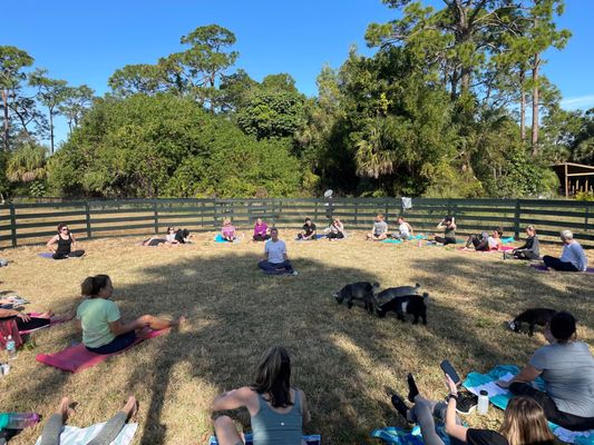 Goat Yoga - Our latest Goat Yoga session at 24 Karat Ranch.. a plenty of laughs, hugs, breathing, meditation and fun with our baby, miniature happy goats…the session was led by an experienced and certified yoga instructor..we in partnership with Downward Goat ( a non profit) offer free tickets to our heroes - military, law enforcement and veterans- thank you for your service ! Goat Yoga - Our latest Goat Yoga session at 24 Karat Ranch.. a plenty of laughs, hugs, breathing, meditation and fun with our baby, miniature happy goats…the session was led by an experienced and certified yoga instructor..we in partnership with Downward Goat ( a non profit) offer free tickets to our heroes - military, law enforcement and veterans- thank you for your service !