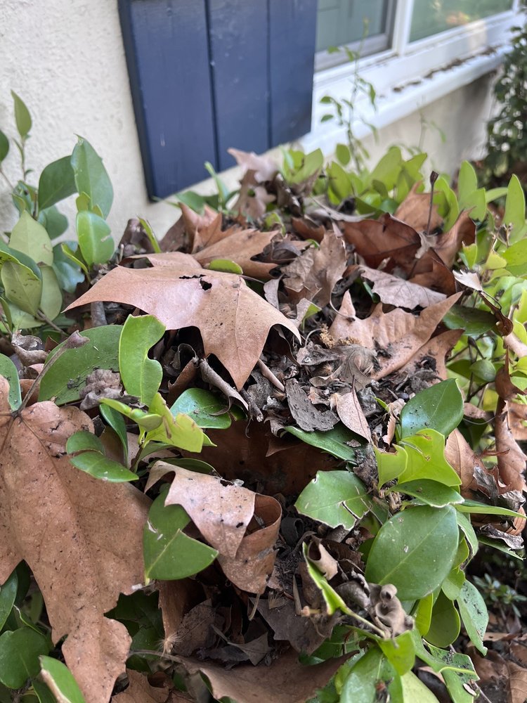 Slide of Albas Roofing