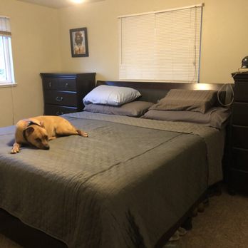Abbey Carpet & Tile - a dog laying on a bed - Carpeting Near Me - Northglenn, Colorado Abbey Carpet & Tile - a dog laying on a bed - Carpeting Near Me - Northglenn, Colorado