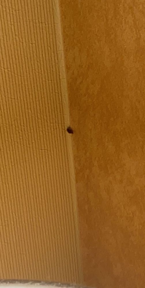 COMFORT SUITES CONFERENCE CENTER RAPID CITY 20 Photos & 31 Reviews