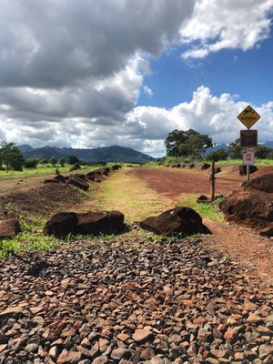 Kukaniloko Birth Stones by null