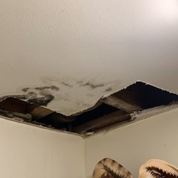 Plumbing flooding issues that went so bad mold was growing now. I had to look at this for nearly 3 months. Plumbing flooding issues that went so bad mold was growing now. I had to look at this for nearly 3 months.