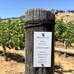 Darioush Winery