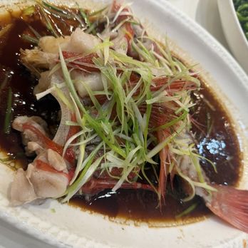 Happy Harbor - Steam rock cod fresh fish ($50/lb). This was 4lbs! - Dim Sum Near Me - Rowland Heights, California Happy Harbor - Steam rock cod fresh fish ($50/lb). This was 4lbs! - Dim Sum Near Me - Rowland Heights, California